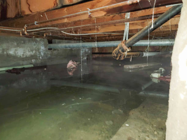 Best Flooded house restoration  in Lake Murray Of Richland, SC