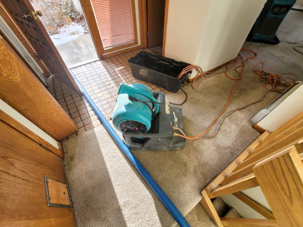 Best Water damage restoration mold remediation  in Lake Murray Of Richland, SC