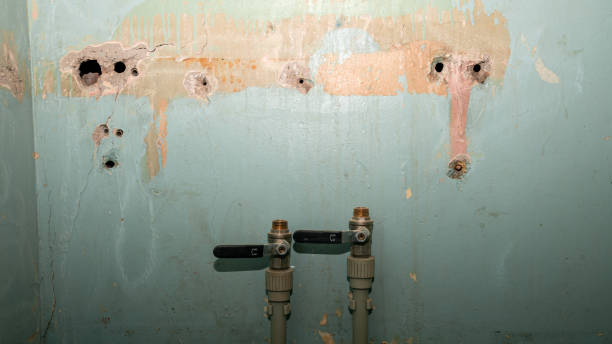 Best Sewage cleanup and water damage restoration  in Lake Murray Of Richland, SC