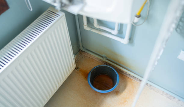 Best Flood damage cleanup  in Lake Murray Of Richland, SC