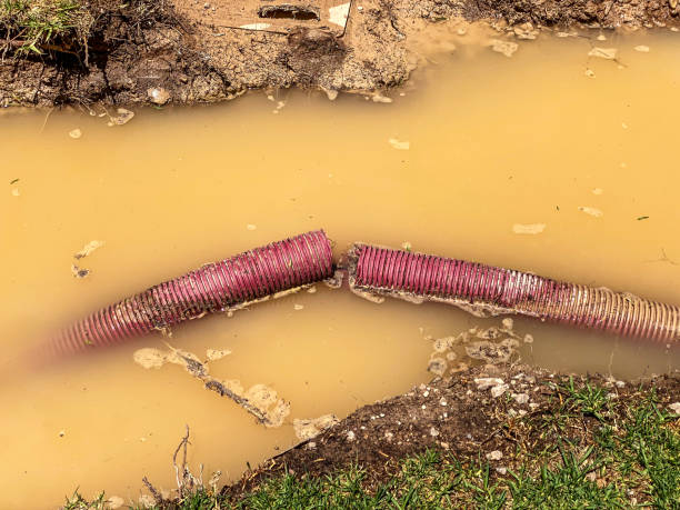  Lake Murray Of Richland, SC Water damage restoration Pros